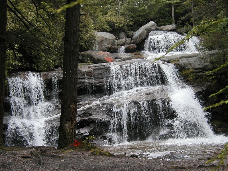 Weiser State Forest – Hiking, Fishing, Camping