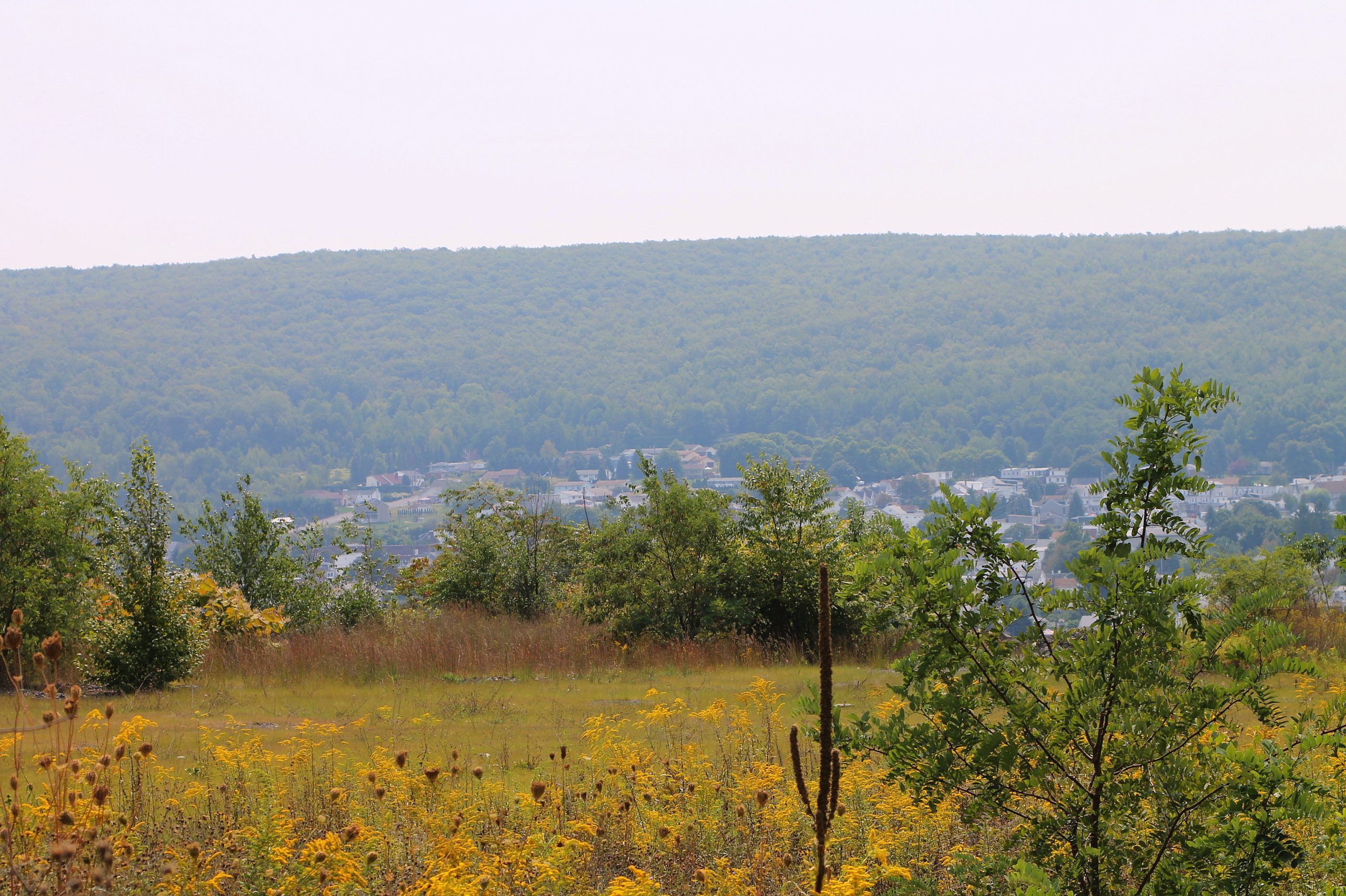 View_of_Mount_Carmel_2