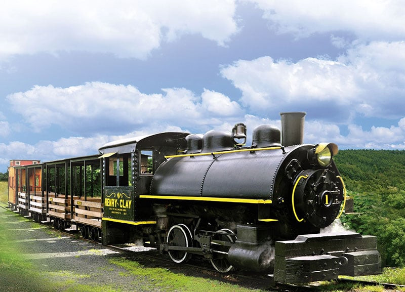 Pioneer Mine Tunnel & Train