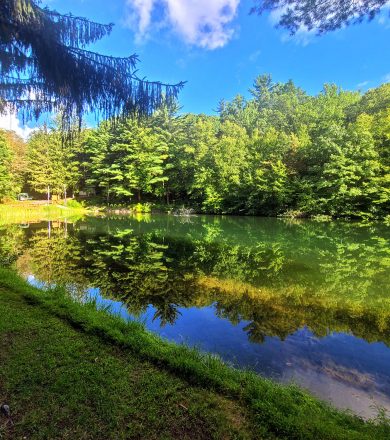 Mt Carmel, PA - dam